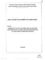 Nghiên cứu cơ cấu nhiên liệu vỏ hạt điều cho thiết bị xử nhiệt nhằm ổn định nhiệt độ và giảm ô nhiễm môi trường 