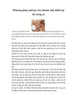 Tài liệu Phương pháp nuôi gà vừa nhanh, thịt nhiều lại đẻ trứng to pptx