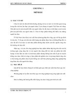 báo cáo sản xuất chao