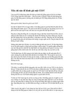 Tài liệu Tiêu chí nào để đánh giá một CEO? pdf