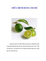 Tài liệu CHỮA BỆNH BẰNG CHANH doc