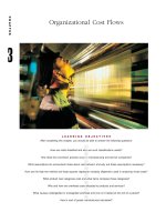 Organizational cost flows 