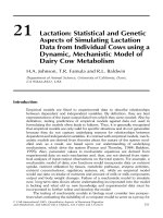 Tài liệu Quantitative aspects of ruminant digestion and metabolism - Phần 16 pdf