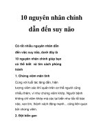 Tài liệu 10 nguyên nhân chính dẫn đến suy não doc