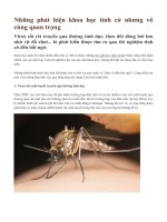 Những phát hiện khoa học tình cờ nhưng vô cùng quan trọng