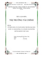 Cổ phần hóa các ngân hàng thương mại nhà nước và ảnh hưởng của nó đến thị trường chứng khoáng VN 