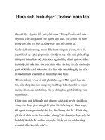 Tài liệu Hình ảnh lãnh đạo: Từ dưới nhìn lên pptx