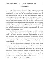 Hoàn thiện công tác tổ chức kế toán doanh thu, chi phí và xác định kết quả kinh doanh tại công ty cổ phần thương mại và đầu tư biển việt 