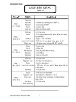 Bài soạn TUẦN 22 LỚP 5