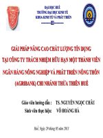 Slide GIẢI PHÁP NÂNG CAO CHẤT LƯỢNG tín DỤNG tại CÔNG TY TRÁCH NHIỆM hữu HẠN một THÀNH VIÊNNGÂN HÀNG NÔNG NGHIỆP và PHÁT TRIỂN NÔNG THÔN (AGRIBANK) CHI NHÁNH THỪA THIÊN HUẾ 