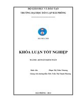 Hoàn thiện công tác kế toán doanh thu, chi phí và xác định kết quả kinh doanh tại công ty cổ phần đầu tư tân vũ minh 