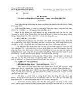 Gián án KẾ HOẠCH MỪNG ĐẢNG MỪNG XUÂN 2011