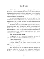 Tập con lồi trong không gian r 