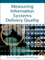Tài liệu Measuring Information Systems Delivery Quality pptx