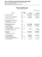 Tài liệu CTy Thủy Sản An Giang - Cân đối kế toán Quý 2 năm 2008 ppt