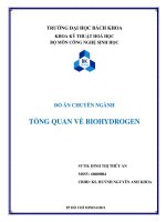 Tổng quan về biohydrogen