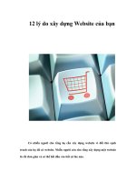 Tài liệu 12 lý do xây dựng Website của bạn pdf