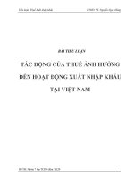 TÁC ĐỘNG của THUẾ ẢNH HƯỞNG đến HOẠT ĐỘNG XUẤT NHẬP KHẨU tại VIỆT NAM 