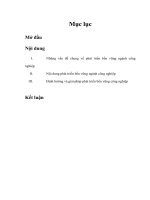 Tài liệu Đề tài 