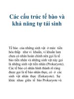Tài liệu Các cấu trúc tế bào và khả năng tự tái sinh doc
