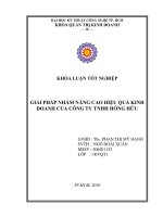 Giải pháp nhằm nâng cao hiệu quả kinh doanh của công ty TNHH hồng hữu 