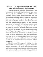 Tài liệu Kĩ thuật lưu lượng IP/WDM, chương 16 ppt