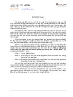 Một số biện pháp nhằm nâng cao hiệu quả kinh doanh khách sạn Phong Nha - Quảng Bình”. Nội 