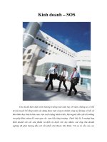 Tài liệu Kinh doanh – SOS doc