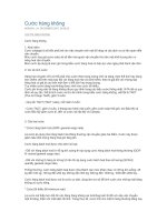 Tài liệu Cước hàng không ppt