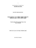 Xây dựng các điều kiện tối ưu thông qua nón liên hợp 
