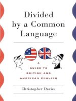 Divided by a Common Language