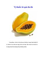 Tài liệu Vị thuốc từ quả đu đủ doc