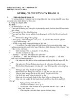 Tài liệu KE HOACH CHUYEN MON THANG 11-2010 - 2011