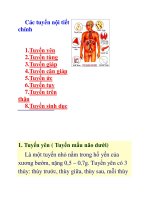 Tài liệu Các tuyến nội tiết chính pdf
