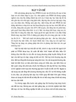 Bài soạn skkn: GP nhằm nâng cao hiệu quả các tiết  TK chương