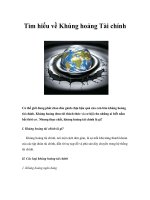 Tài liệu Tìm hiểu về Khủng hoảng doc