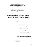 PHÂN TÍCH báo cáo tài CHÍNH VIETCOM BANK, VIETIN BANK 