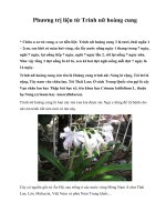 Tài liệu Phương trị liệu từ Trinh nữ hoàng cung pdf