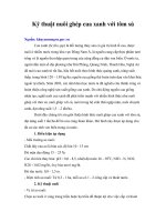 Tài liệu Kỹ thuật nuôi ghép cua xanh với tôm sú pdf