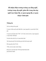 Tài liệu Bổ nhiệm Hiệu trưởng trường cao đẳng nghề, trường trung cấp nghề, giám đốc trung tâm dạy nghề trực thuộc Bộ, cơ quan ngang Bộ, cơ quan thuộc Chính phủ ppt