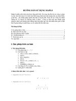 hướng dẫn sử dụng maple