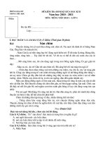 Gián án Đề KTGKII 2010-2011 TV(Đọc) 4