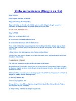 Tài liệu Verbs and sentences (Động từ và câu) pptx