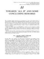 Tài liệu Nhiều giao thức truy cập đối với truyền thông di động P11 docx