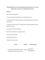 Tài liệu Cấp giấy phép kiểm soát an ninh hàng không sử dụng một lần vào, ra và hoạt động tại khu vực hạn chế của cảng hàng không, sân bay docx