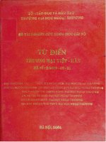Từ điển thương mại viêt   hán đề tài NCKH cấp bộ 