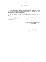 Nghiên cứu đánh giá tác động môi trường xây dựng dự án CCN caric 