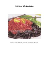 Tài liệu Mì Đen Sốt Bò Bằm ppt