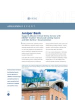 Tài liệu Application Report - TrueNET - Juniper Bank pptx