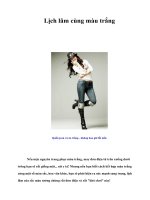 Tài liệu Lịch lãm cùng màu trắng pptx